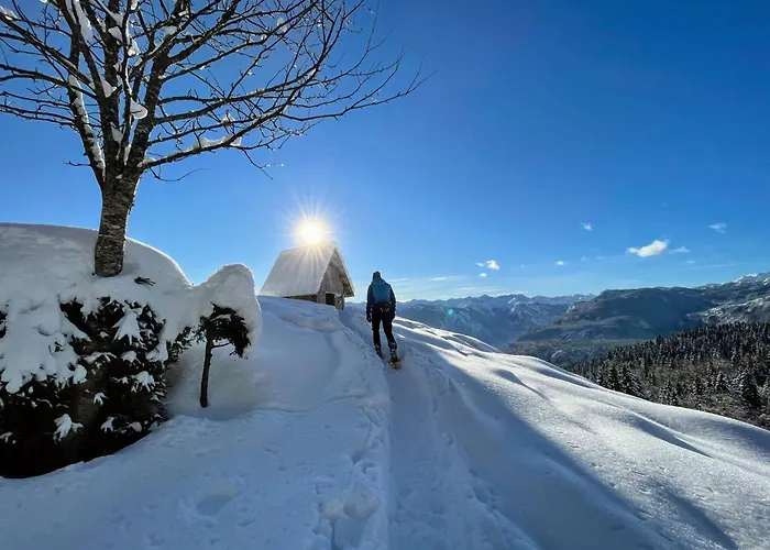 Chalet Hike&Bike Above Bohinj Valley